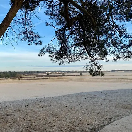 Appartement With A Kitchen And Bathroom - Vilmos Old