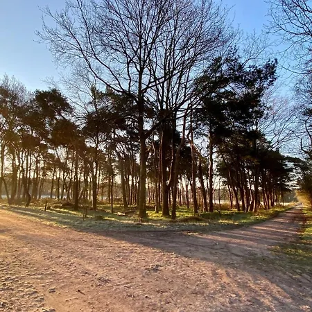 With A Kitchen And Bathroom - Vilmos Old Appartement *
