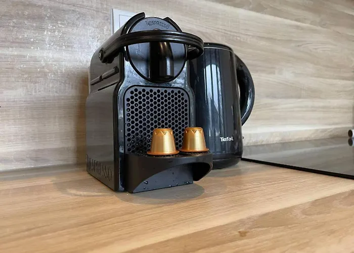 With A Kitchen And Bathroom - Vilmos Old Апартаменты Тилбург